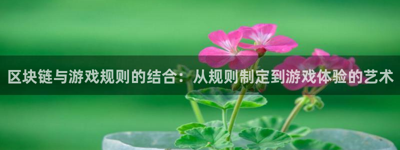 亿万28电商怎么样知乎：区块链与游戏规则的结合：从规则制定到游戏体验的艺术