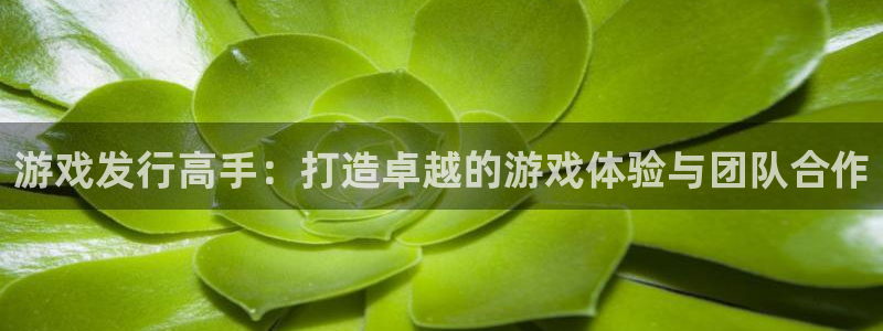 亿万28集团品牌策划机构：游戏发行高手：打造卓越的游戏体验与团队合作