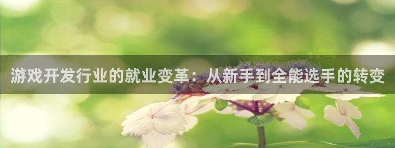亿万28官网主管他494o3 主管：游戏开发行业的就业变革：从新手到全能选手的转变