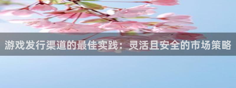 亿万28官网注册地址：游戏发行渠道的最佳实践：灵活且安全的市场策略