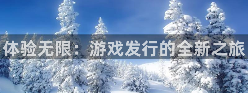 亿万28官网注册方法是什么意思：体验无限：游戏发行的全新之旅