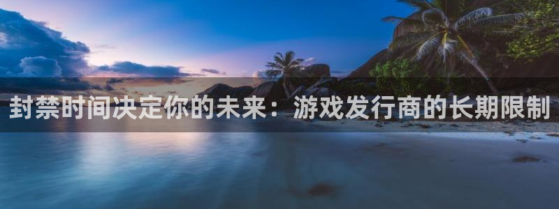 亿万28电商怎么样：封禁时间决定你的未来：游戏发行商的长期限制