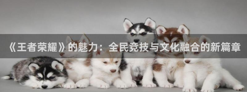 亿万28官网登录注册账号失败怎么回事：《王者荣耀》的魅力：全民竞技与文化融合的新篇章