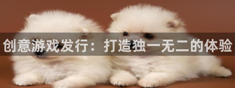 亿万28官网平台代理条件怎么样：创意游戏发行：打造独一无二的体验