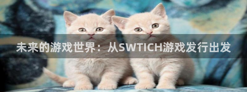 广州亿万28运动服：未来的游戏世界：从SWTICH游戏发行出发