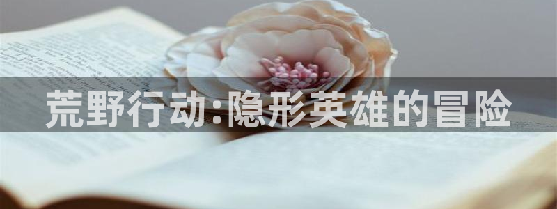 亿万28官网注册平台登录：荒野行动:隐形英雄的冒险