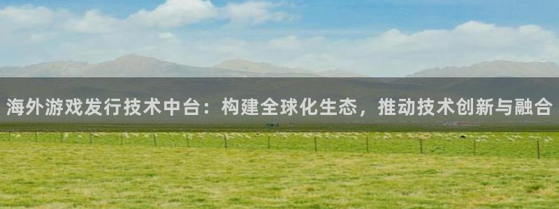 亿万28子文化创意做什么的：海外游戏发行技术中台：构建全球化生态，推动技术创新与融合