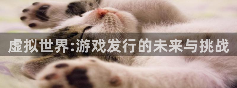 亿万28子文化创意有限公司特邀玩家